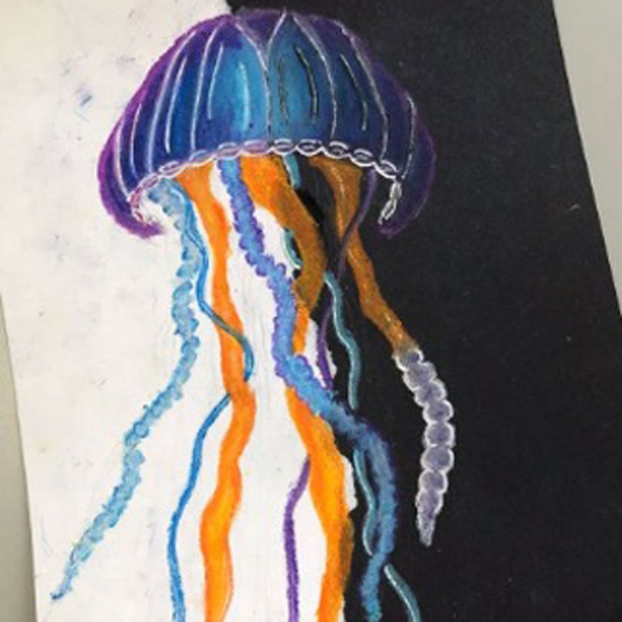Colne Park High School – Year 9 Oil Pastels